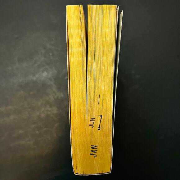 The Thirteenth Tale: A Novel - Diane Setterfield - Picture 4 of 6